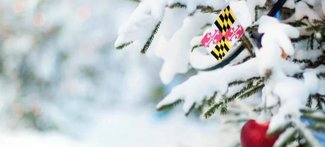 3 Sensory Activities Your Family Will Love this Winter
